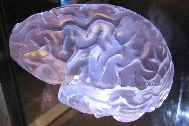 Brain Fog nach 40: Nährstoff-Routinen für mentale Klarheit und kognitive Reserve