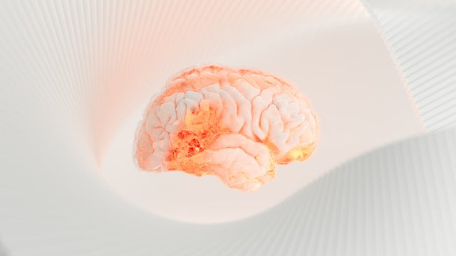 The gut-brain axis: How probiotics influence your mental health