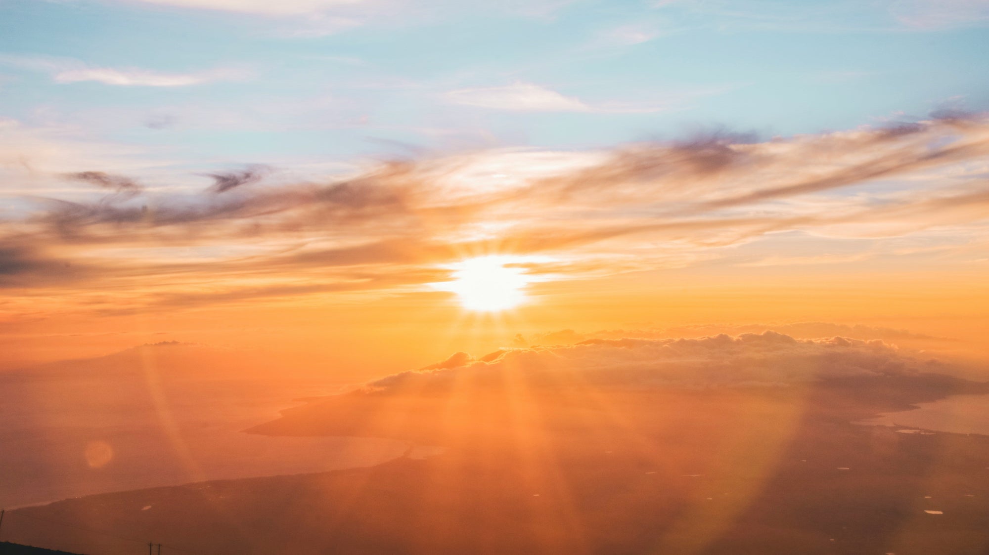Wie Vitamin D die Immungesundheit unterstützt