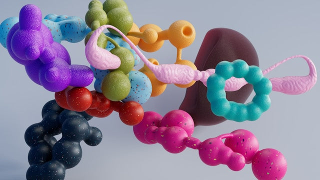Protease, trypsin and chymotrypsin – how does protein digestion work?